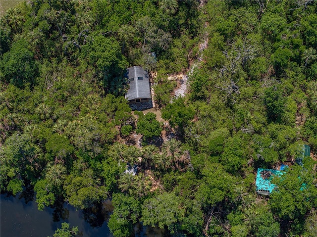 13004 Bell Creek Chase, Riverview, FL 33569 - aerial view featuring a water view