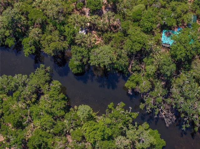 13004 Bell Creek Chase, Riverview, FL 33569 - birds eye view of property