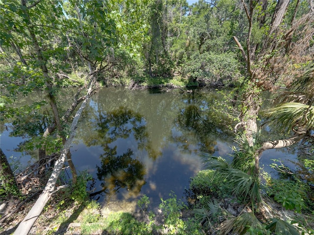 13004 Bell Creek Chase, Riverview, FL 33569 - property view of water