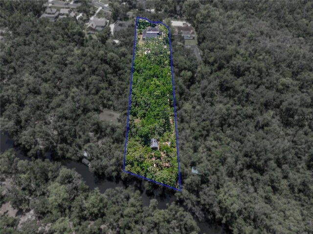 13004 Bell Creek Chase, Riverview, FL 33569 - bird's eye view