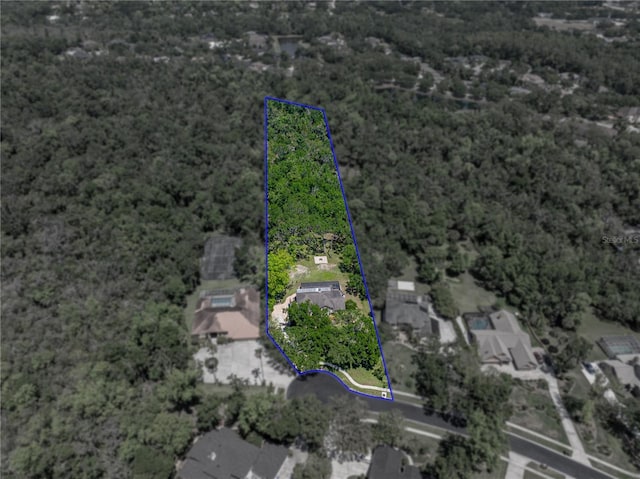 13004 Bell Creek Chase, Riverview, FL 33569 - birds eye view of property featuring a forest view