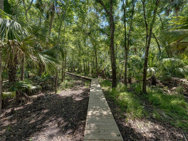 13004 Bell Creek Chase, Riverview, FL 33569 - view of community