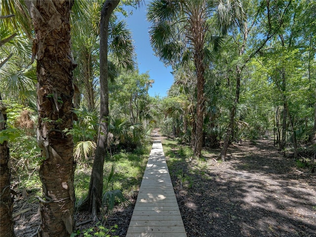 13004 Bell Creek Chase, Riverview, FL 33569 - view of surrounding community
