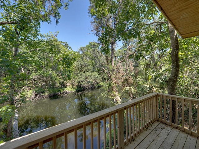 13004 Bell Creek Chase, Riverview, FL 33569 - wooden deck featuring a water view