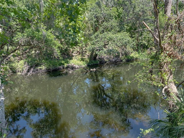 13004 Bell Creek Chase, Riverview, FL 33569 - view of water feature with a wooded view