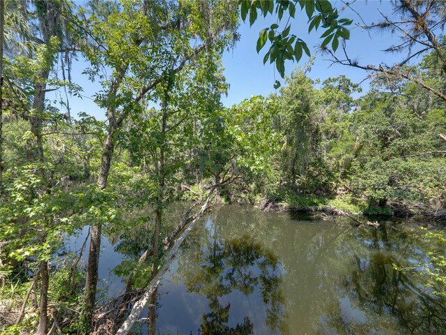 13004 Bell Creek Chase, Riverview, FL 33569 - property view of water