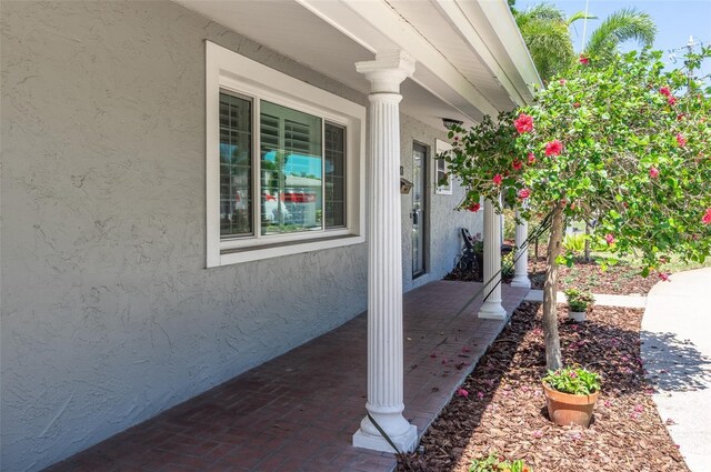 1183 35th Ave NE, Saint Petersburg, FL 33704 - photo 4