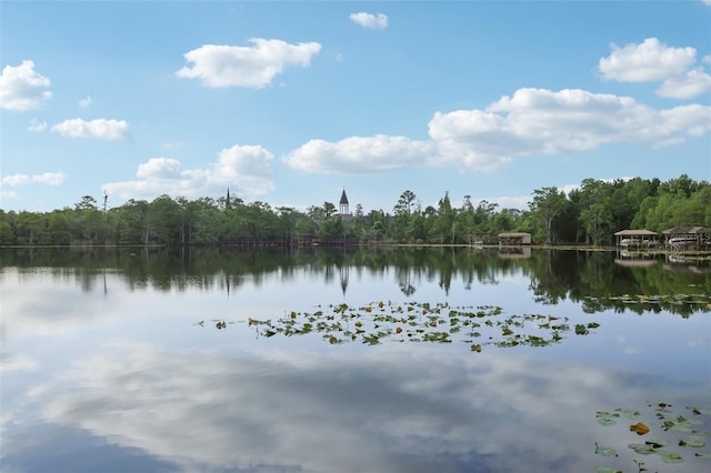 water view with a wooded view