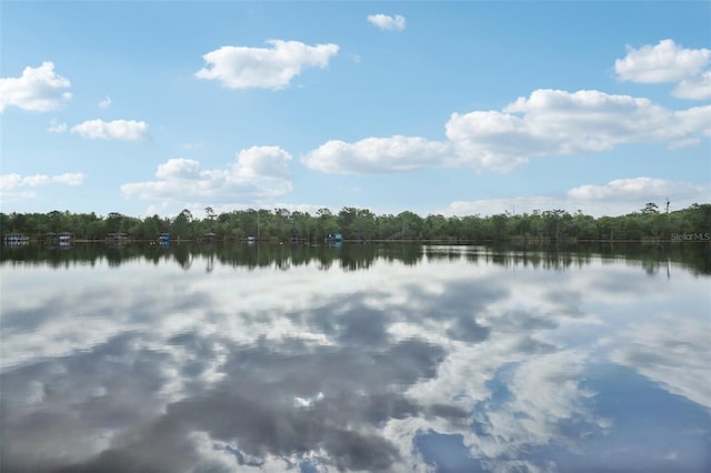 property view of water with a forest view
