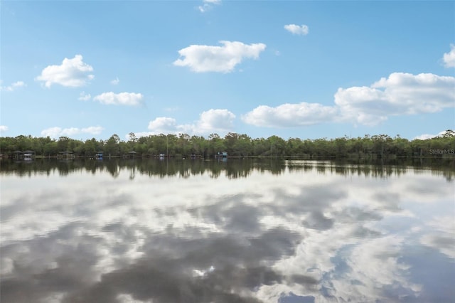 property view of water featuring a view of trees