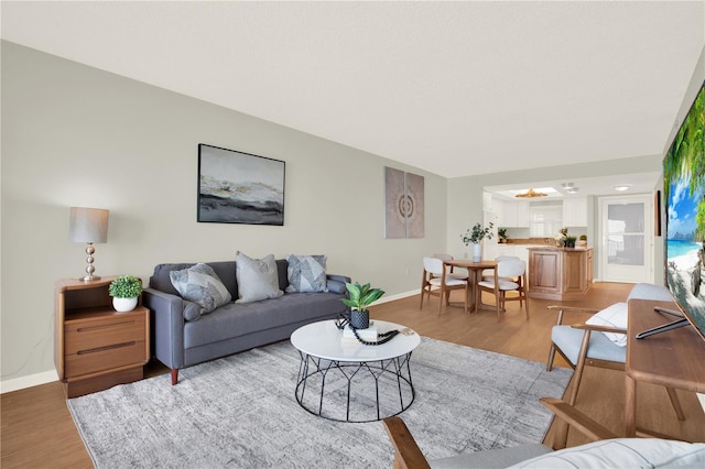 9 Haig Pl Unit 510, Dunedin, FL 34698 - living area featuring light wood-style floors and baseboards