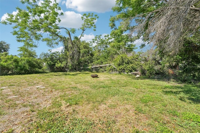 view of yard