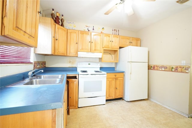 kitchen featuring a sink, light brown cabinetry, white appliances, ceiling fan, and under cabinet range hood