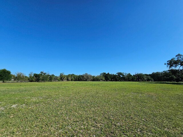 Arena Rd, Dade City, FL 33523 - photo 4