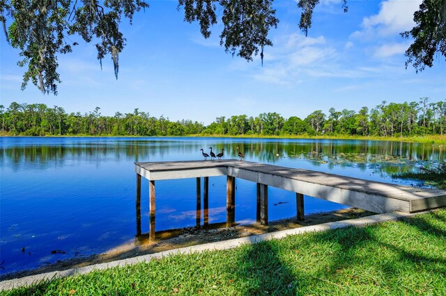 19254 Blount Rd, Lutz, FL 33558 - dock area with a water view and a wooded view