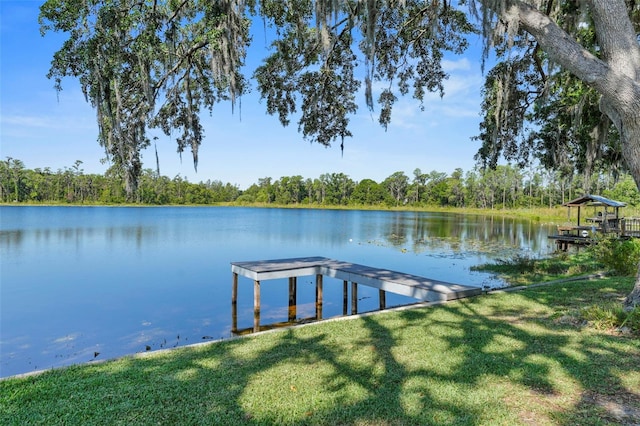 19254 Blount Rd, Lutz, FL 33558 - dock with a water view and a lawn