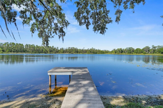 19254 Blount Rd, Lutz, FL 33558 - dock featuring a water view and a forest view