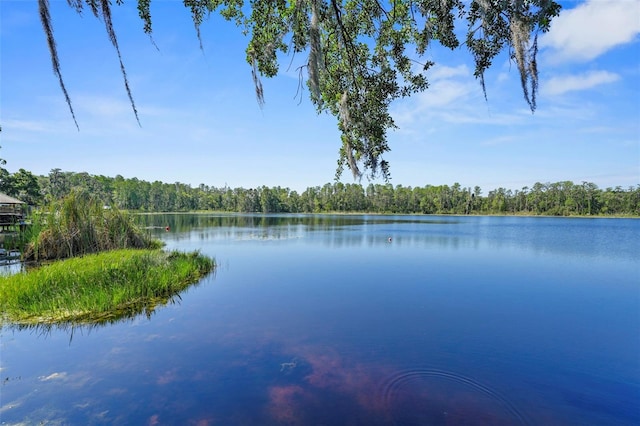 19254 Blount Rd, Lutz, FL 33558 - water view featuring a heavily wooded area