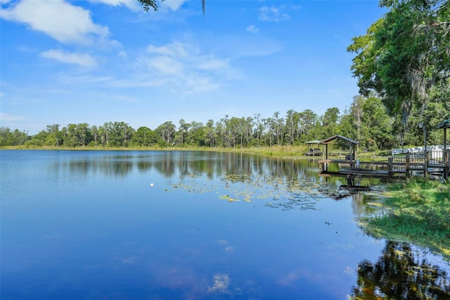 19254 Blount Rd, Lutz, FL 33558 - water view featuring a heavily wooded area