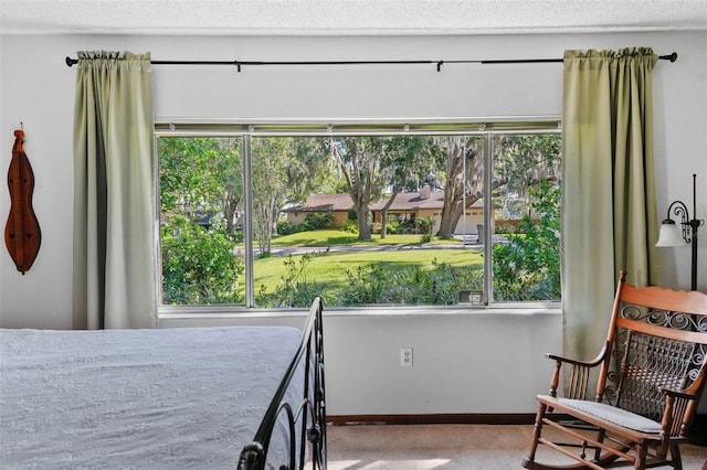 19254 Blount Rd, Lutz, FL 33558 - bedroom with multiple windows, carpet flooring, and baseboards