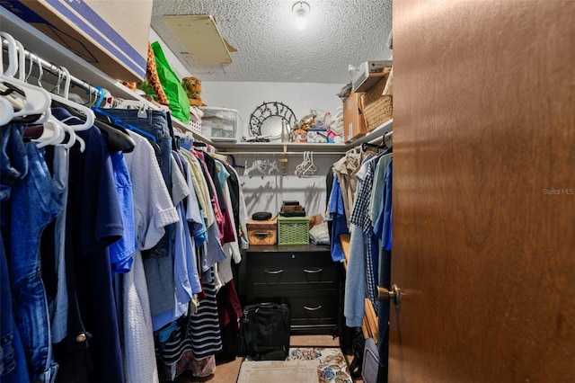 19254 Blount Rd, Lutz, FL 33558 - view of walk in closet