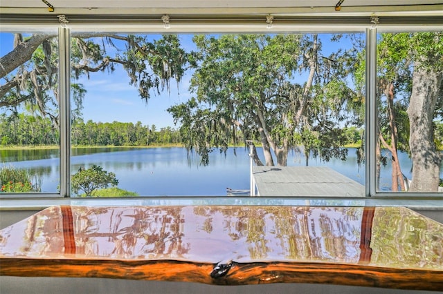 19254 Blount Rd, Lutz, FL 33558 - water view featuring a boat dock