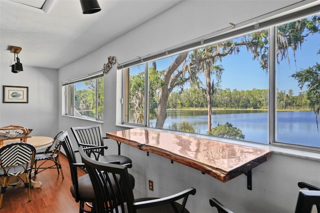 19254 Blount Rd, Lutz, FL 33558 - dining area with wood finished floors and a water view