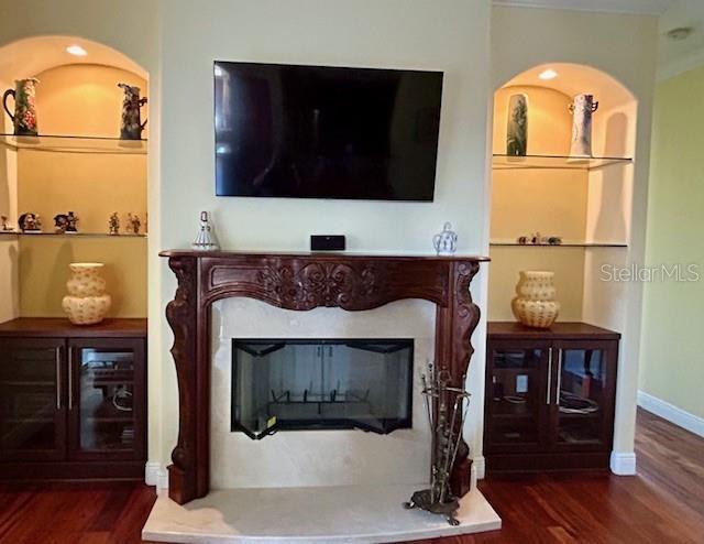 17127 Brown Rd, Odessa, FL 33556 - detailed view of a fireplace with raised hearth, wood finished floors, and baseboards