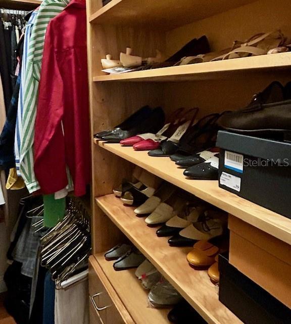 17127 Brown Rd, Odessa, FL 33556 - view of walk in closet