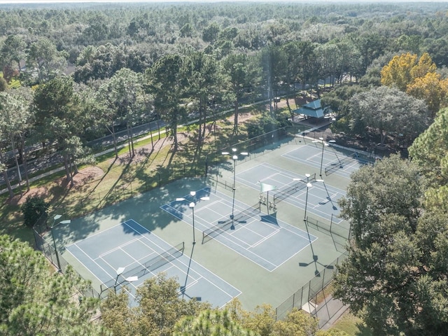 9481 Highland Oak Dr Unit 508, Tampa, FL 33647 - photo 34