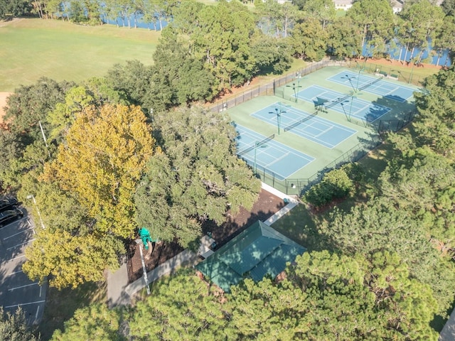 9481 Highland Oak Dr Unit 508, Tampa, FL 33647 - photo 35