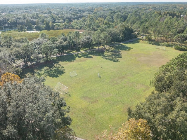 9481 Highland Oak Dr Unit 508, Tampa, FL 33647 - photo 39