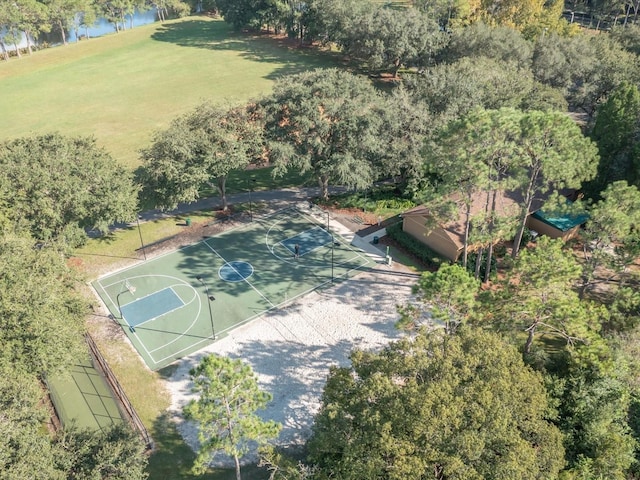 9481 Highland Oak Dr Unit 508, Tampa, FL 33647 - photo 41