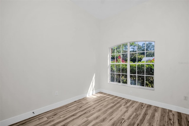 1135 Wyndham Lakes Dr, Odessa, FL 33556 - spare room with wood finished floors and baseboards