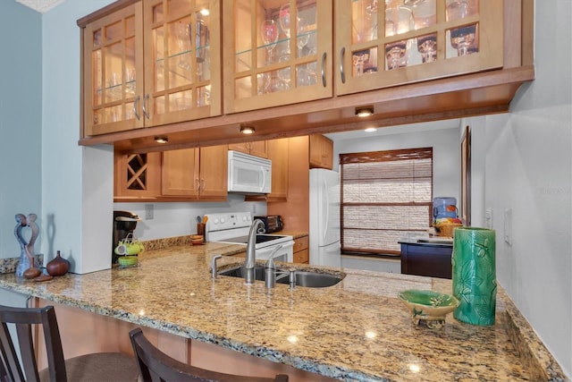 6279 Sun Blvd Unit 103, Saint Petersburg, FL 33715 - kitchen featuring light stone counters, a sink, white appliances, glass insert cabinets, and a peninsula