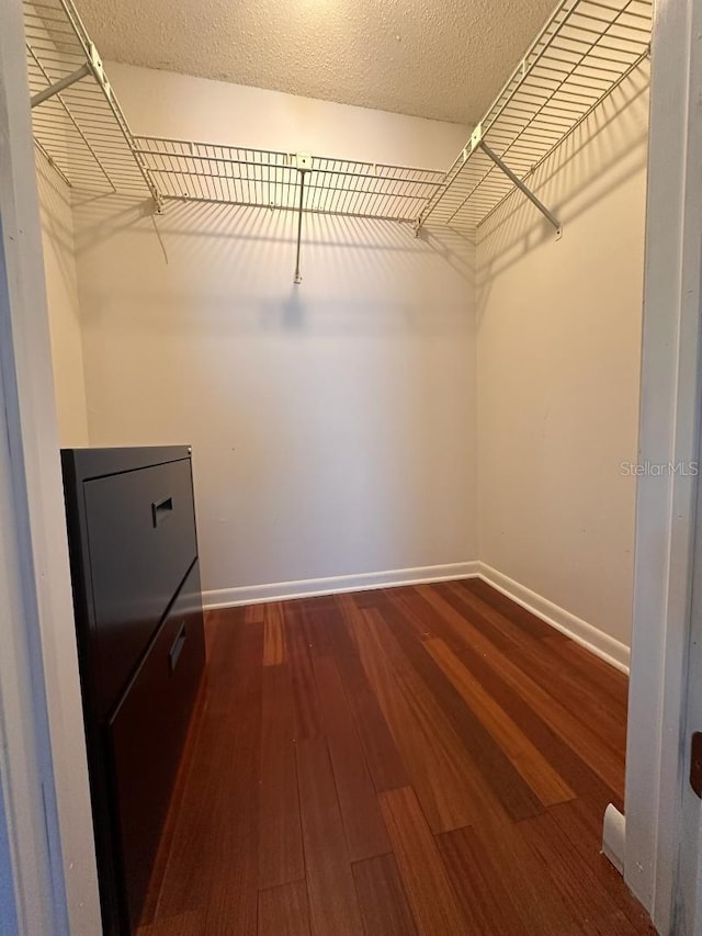 6279 Sun Blvd Unit 103, Saint Petersburg, FL 33715 - walk in closet featuring wood finished floors