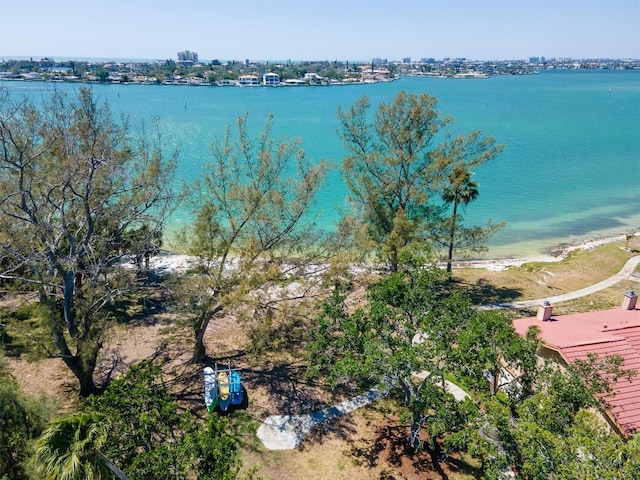 6279 Sun Blvd Unit 103, Saint Petersburg, FL 33715 - view of water feature
