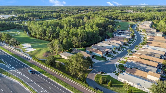 7519 Berna Ln, Land O Lakes, FL 34637 - aerial overview of property's location with a forest