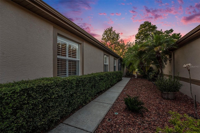 7519 Berna Ln, Land O Lakes, FL 34637 - view of yard