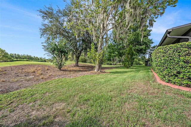 7519 Berna Ln, Land O Lakes, FL 34637 - view of green lawn