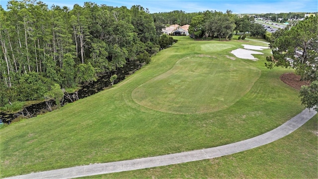 7519 Berna Ln, Land O Lakes, FL 34637 - bird's eye view of a golf course