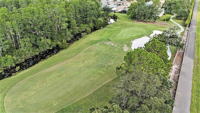 7519 Berna Ln, Land O Lakes, FL 34637 - aerial view of property and surrounding area with a local golf course and a tree filled landscape