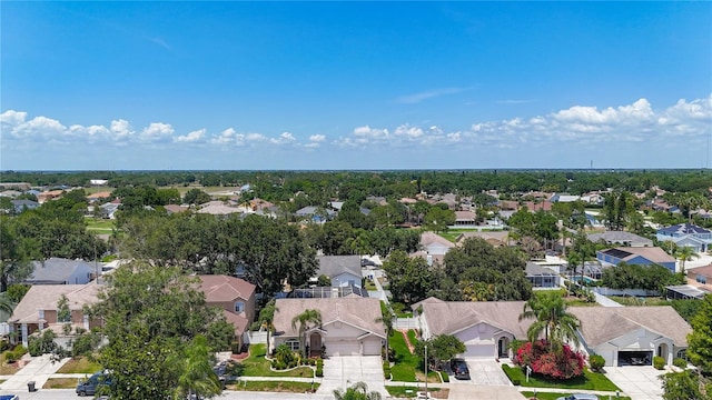 11216 Longbrooke Dr, Riverview, FL 33579 - aerial view of residential area