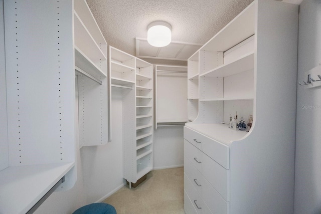 7872 Sailboat Key Blvd S Unit 602, South Pasadena, FL 33707 - photo 39
