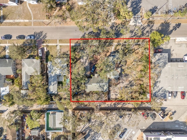 3434 6th Ave N, Saint Petersburg, FL 33713 - photo 3