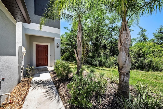 23378 Papyrus Way, Lutz, FL 33549 - property entrance featuring stucco siding