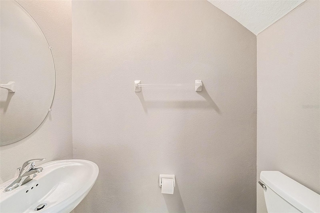 23378 Papyrus Way, Lutz, FL 33549 - half bath with toilet and a sink