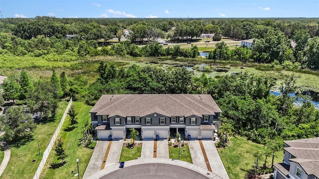 23378 Papyrus Way, Lutz, FL 33549 - birds eye view of property with a view of trees and a water view