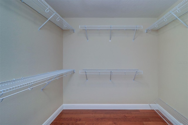 5449 Manatee Point Dr, New Port Richey, FL 34652 - walk in closet with wood finished floors