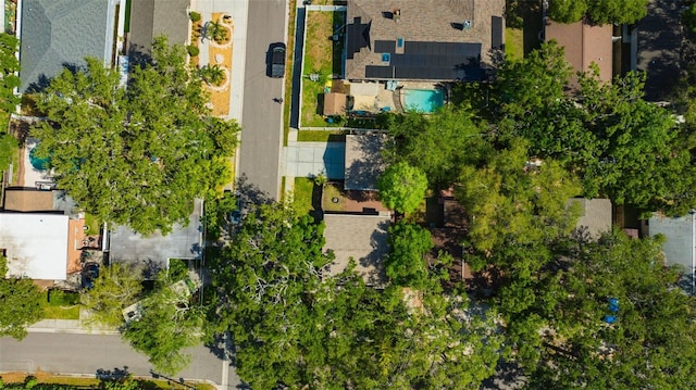1155 Withlacoochee St, Safety Harbor, FL 34695 - bird's eye view